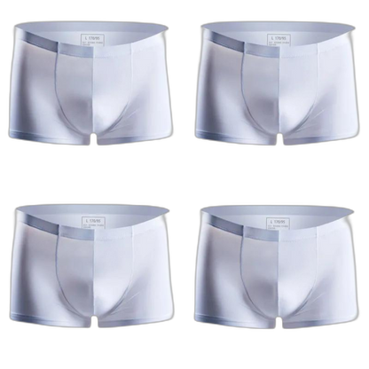 Ice Embrace Transparent Boxer Briefs (4 Pack)