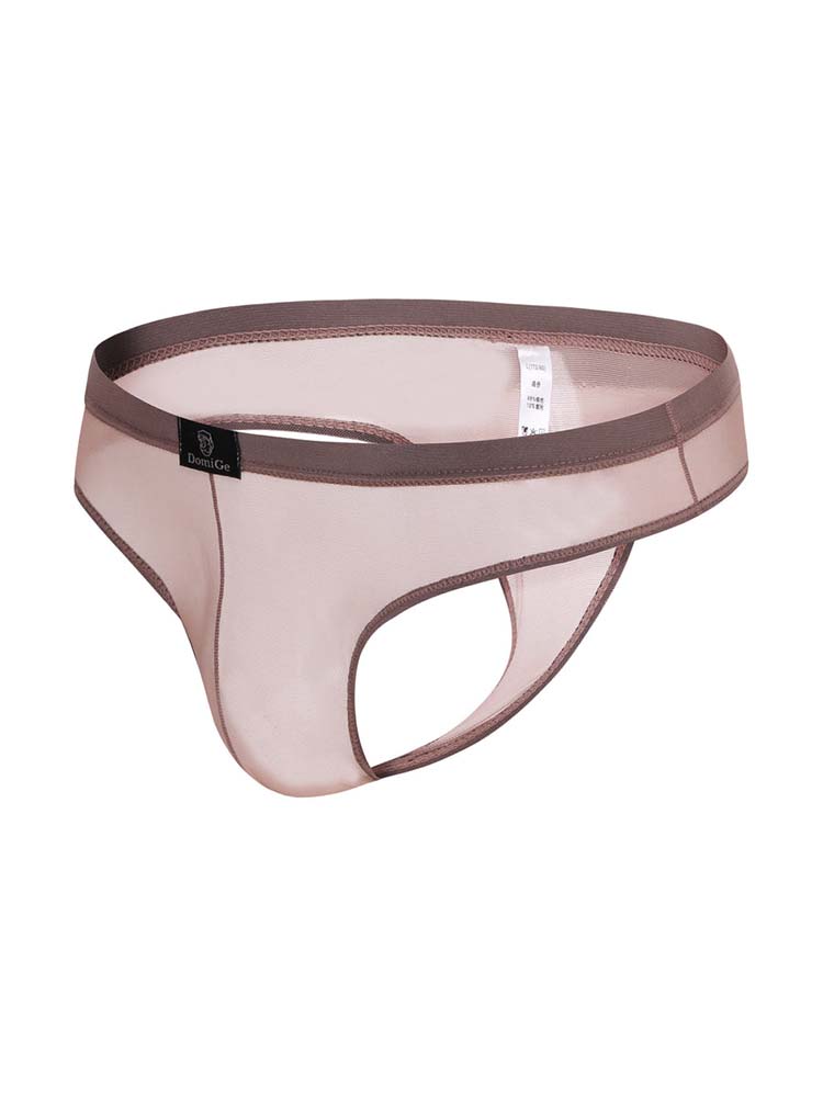 Men's Low Rise Mesh Bikini Thong