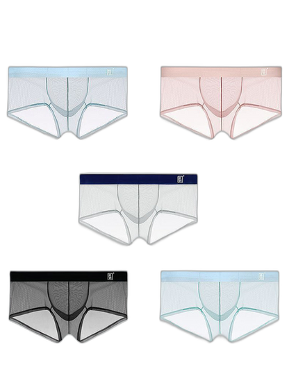 Men's Ultra-thin Low-Rise See-Through Ice Silk Briefs