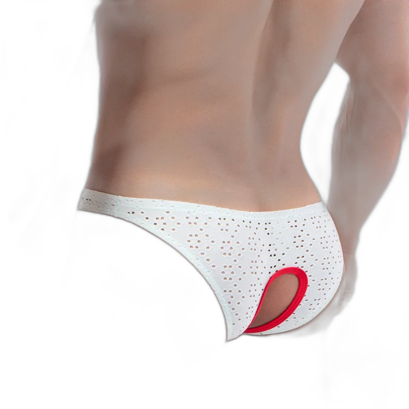 Intrigue Mesh No Crotch Panties