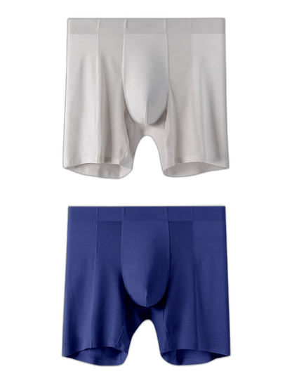 2 Pack Men’s Long Athletic Boxer Briefs