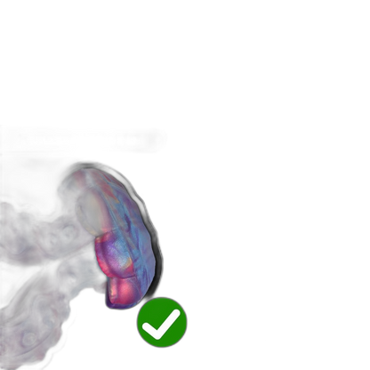 Abyss Jellyfish Tentacle – Silicone Anal Plug – Anal Sex Toy
