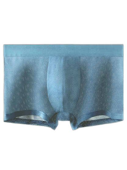 4 Pack Men's Thin Ultra Breathable Mesh Trunks