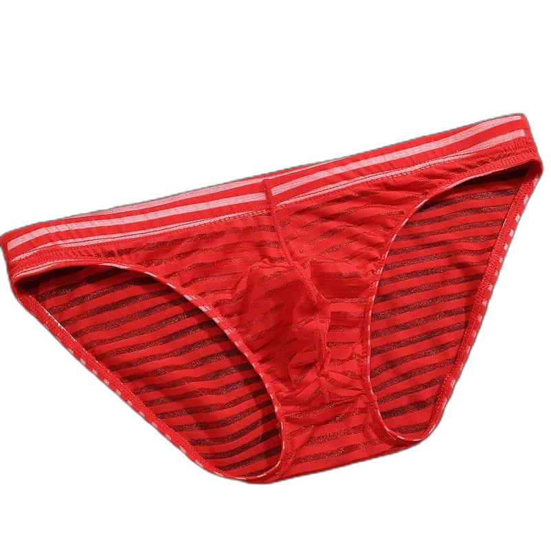 Striped Transparent Briefs