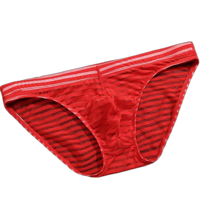 Striped Transparent Briefs