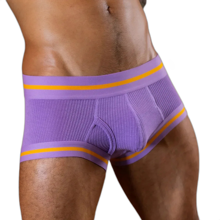 Tauwell Retro Era Boxer Briefs