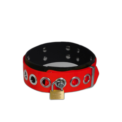 Dual-Colored Silicone Collar