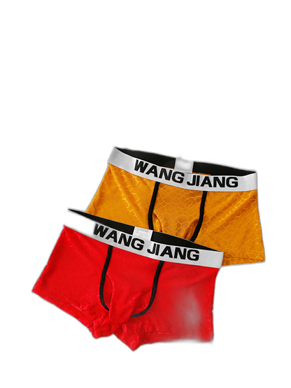 2 Pack Men's Ice Silk Lace Solid Sexy Trunks