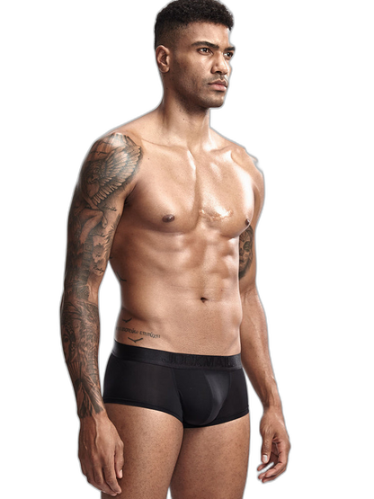 Breathable See-through Ball Support Pouch Underwear