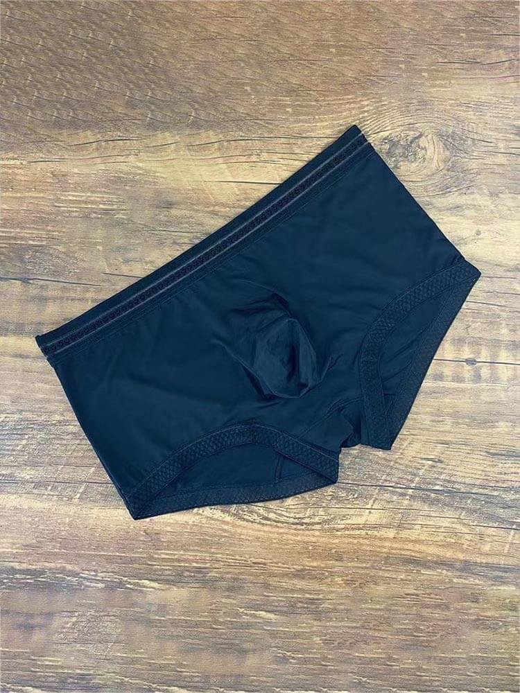 Men's Sexy Lace Thin Low-Rise Elastic Boxer Briefs