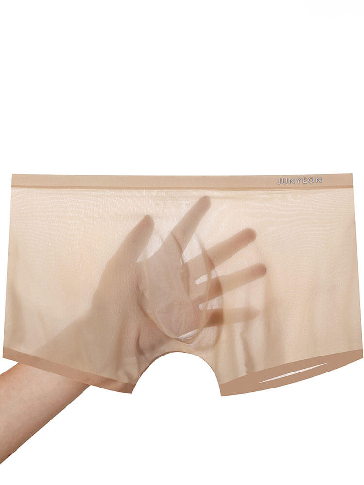 Men's Sexy Sheer Ultra-Thin Ice Silk Boxer Briefs