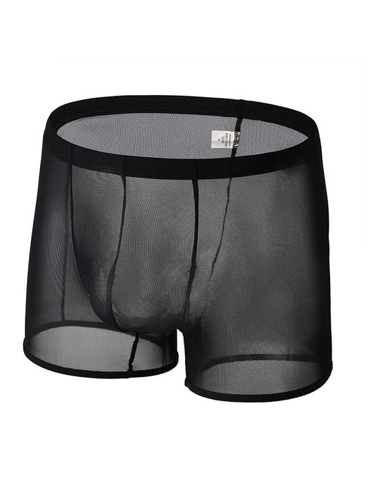 Men's Sexy Breathable Sheer Mesh Boxer Briefs