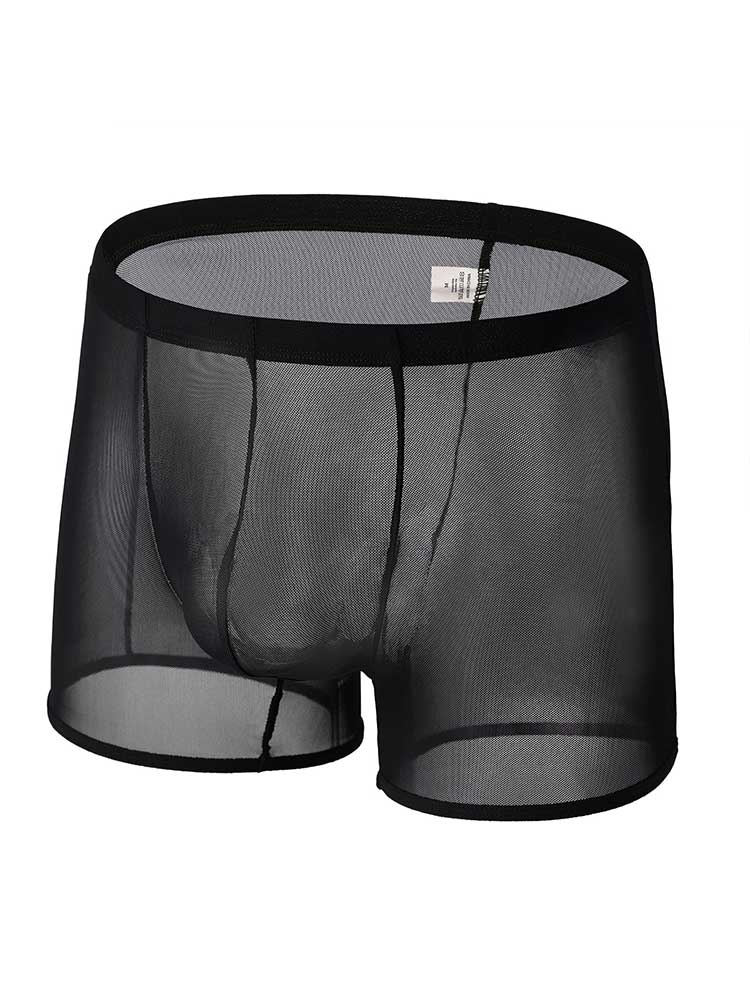 Men's Sexy Breathable Sheer Mesh Boxer Briefs