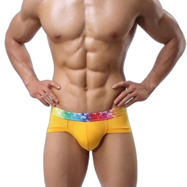 4 Pack Breathable Modal Colored Belt Briefs-rainbow pride underwear