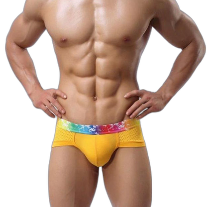 4 Pack Breathable Modal Colored Belt Briefs-rainbow pride underwear