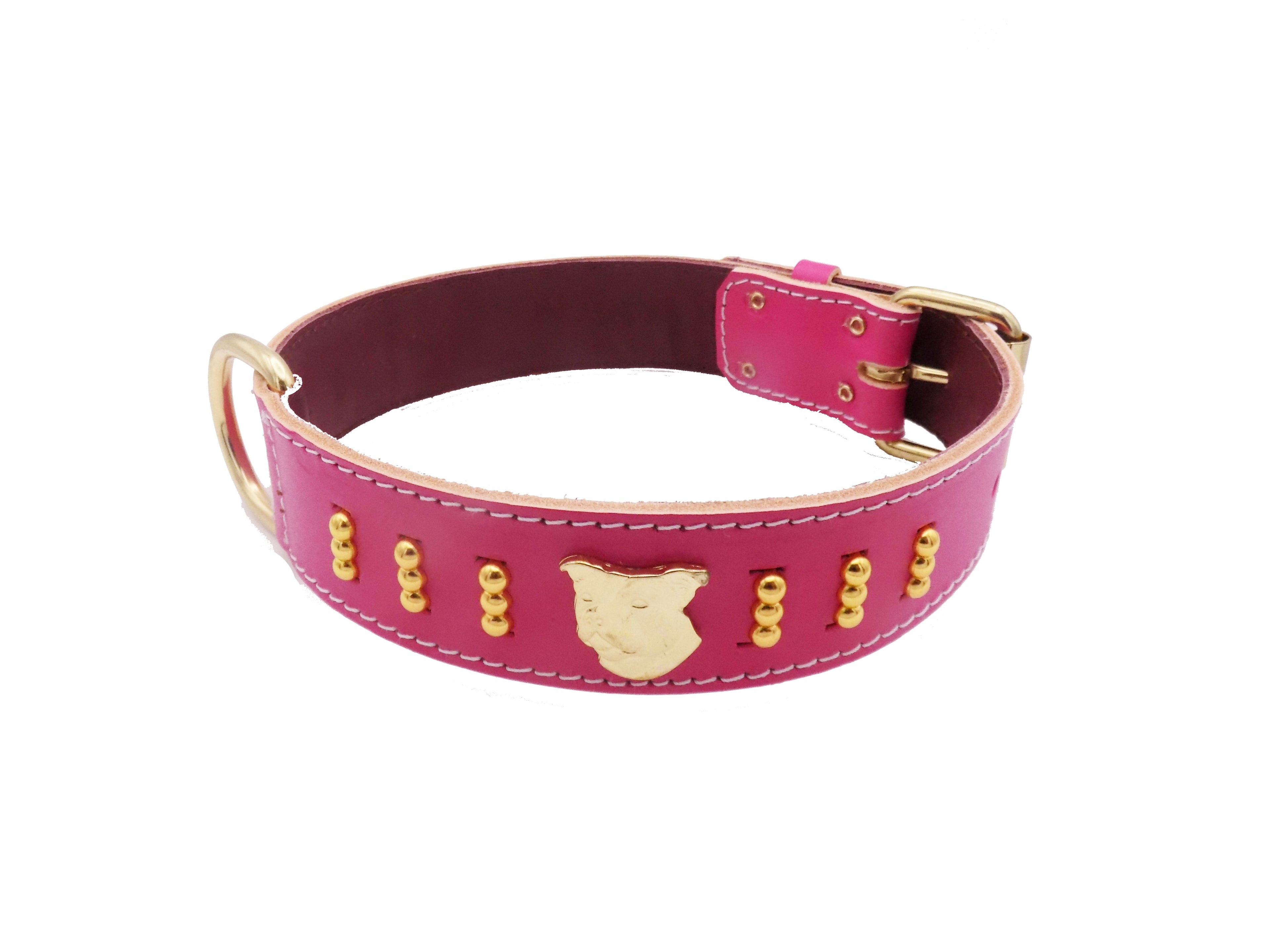 1.5" wide Staffy Leather Dog Collar with Gold Unique Decorative Design and Staffordshire Bull Terrier Badge