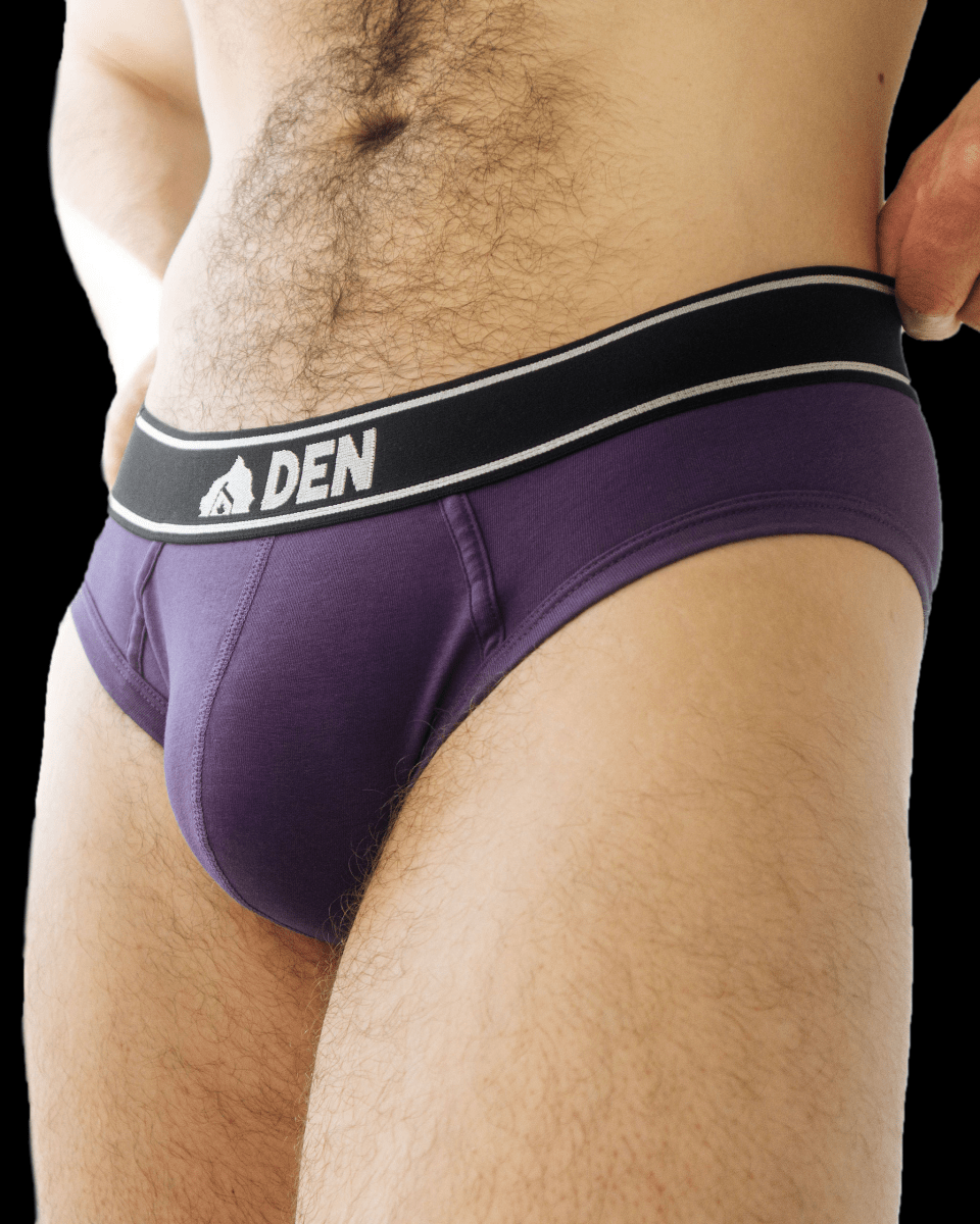 Den CORE Brief - Purple - The Pup Play Hub