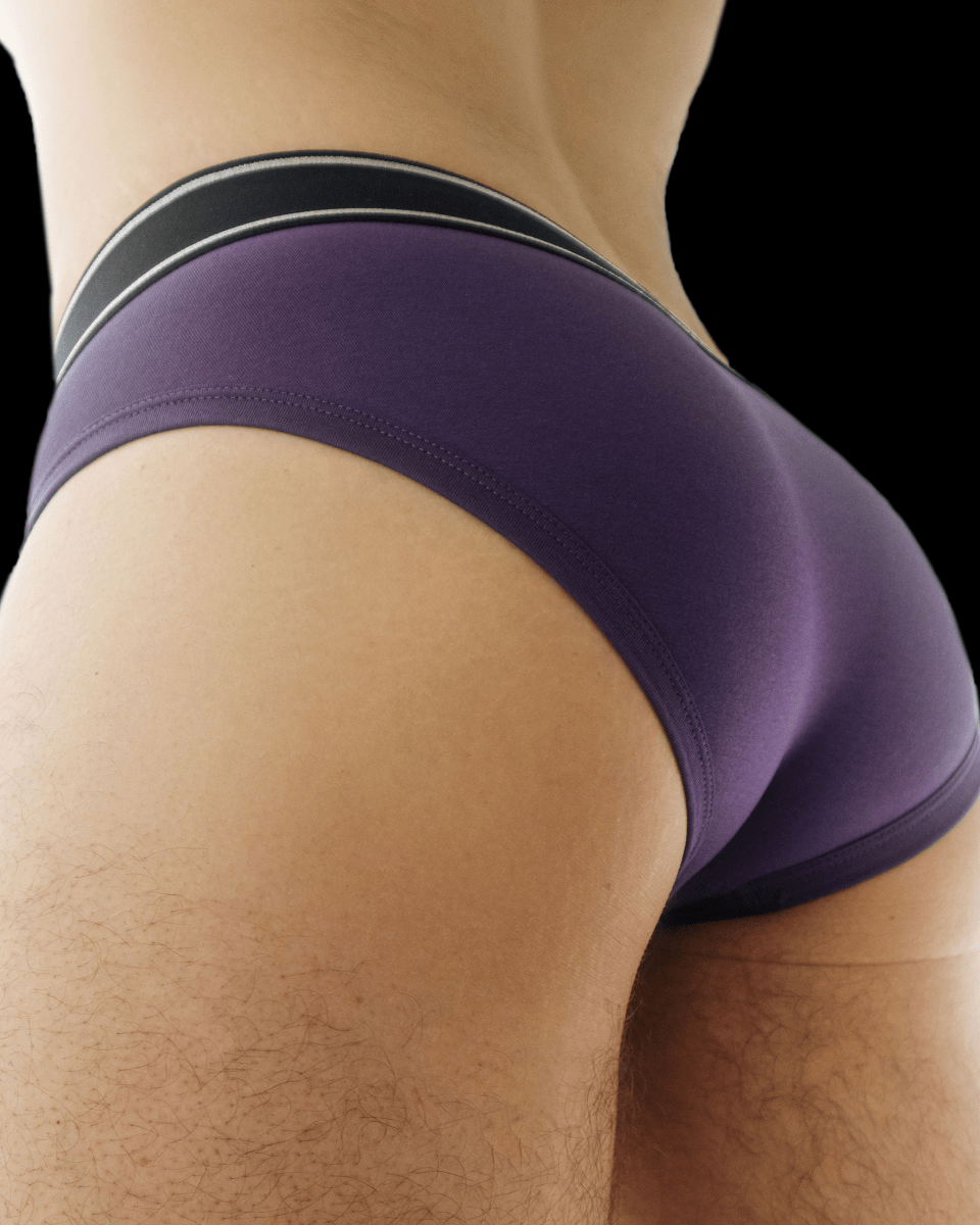 Den CORE Brief - Purple - The Pup Play Hub