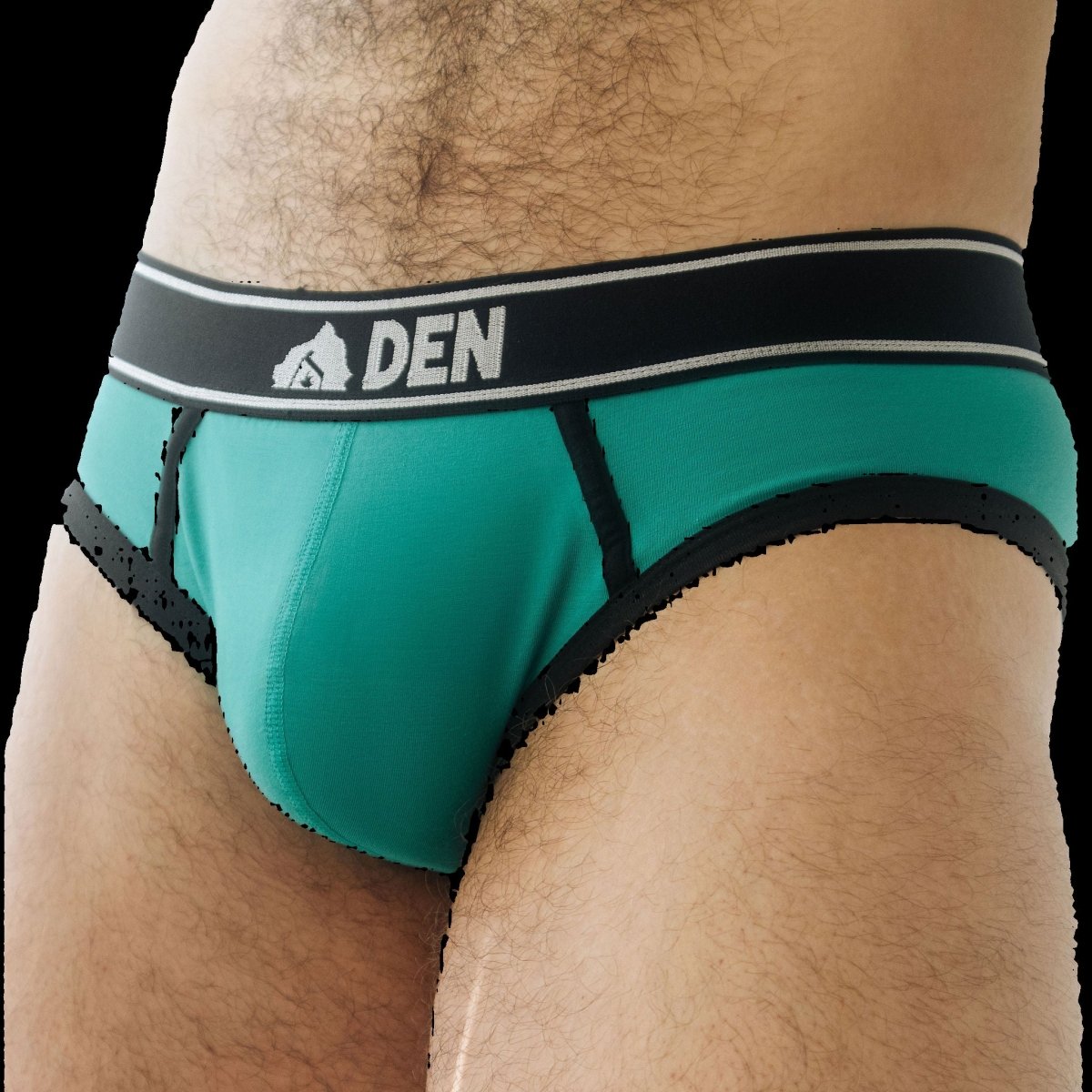 DEN CORE Brief - Teal Green - The Pup Play Hub