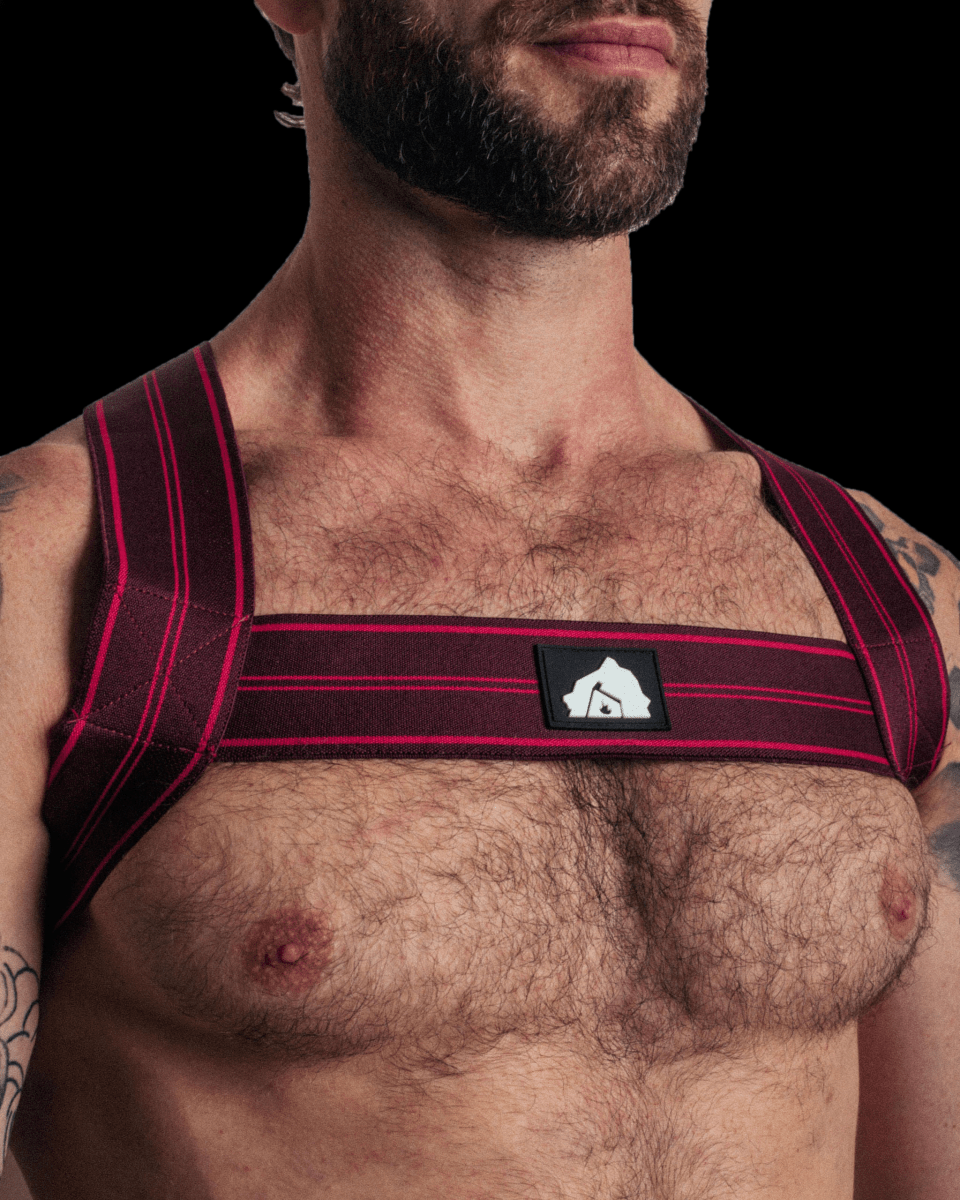 DEN CORE Chest Harness - Burgundy - The Pup Play Hub
