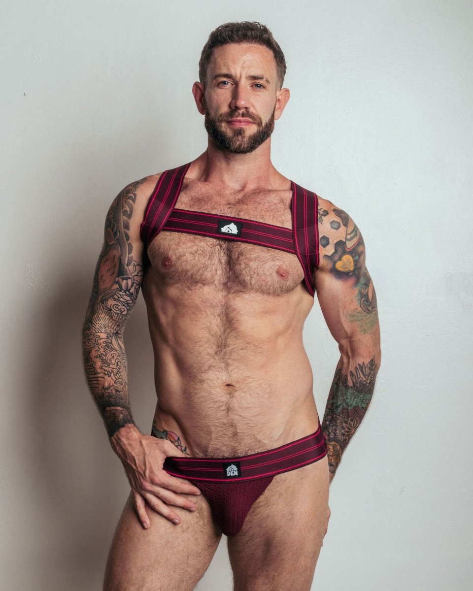 DEN CORE Jock - Burgundy - The Pup Play Hub