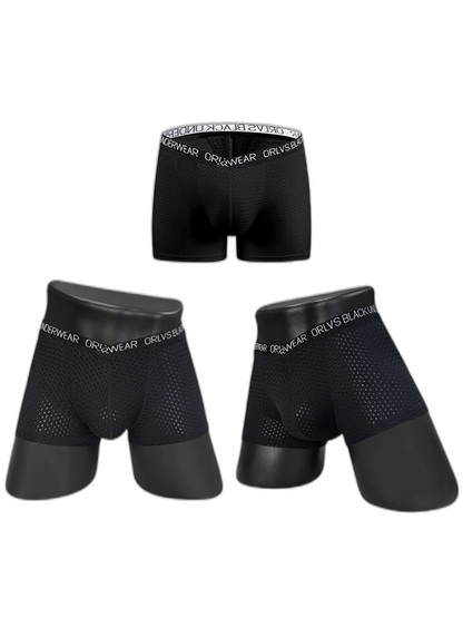 2 Pack Men's Sexy V-shape Waistband Mesh Trunks