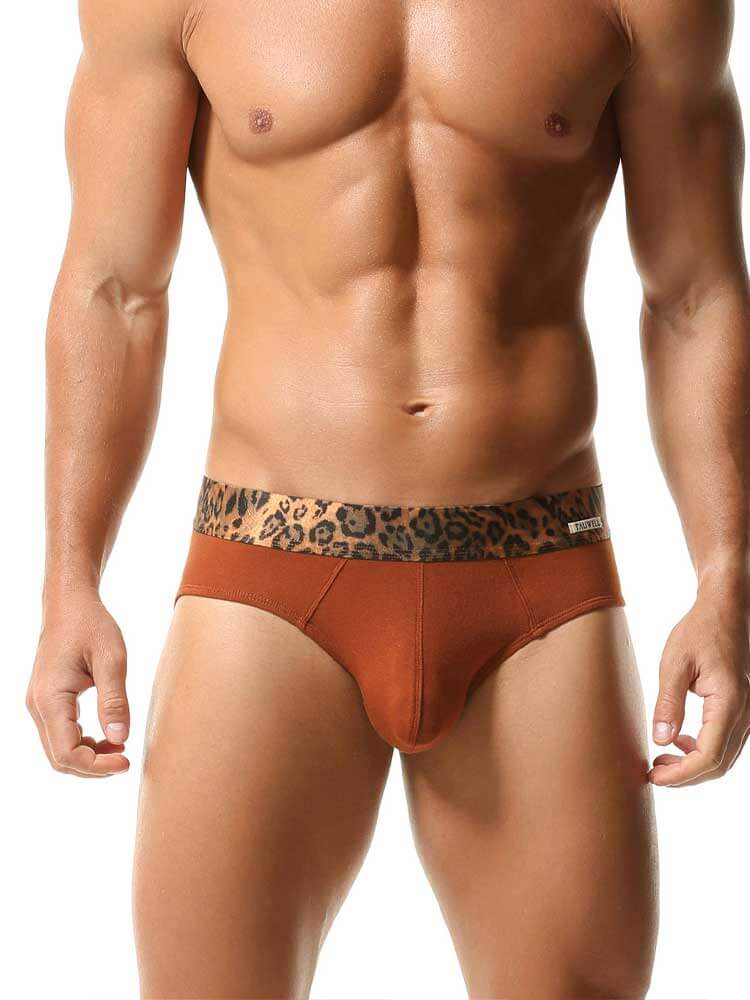 Men's Sexy Leopard Print Panels Cotton Briefs