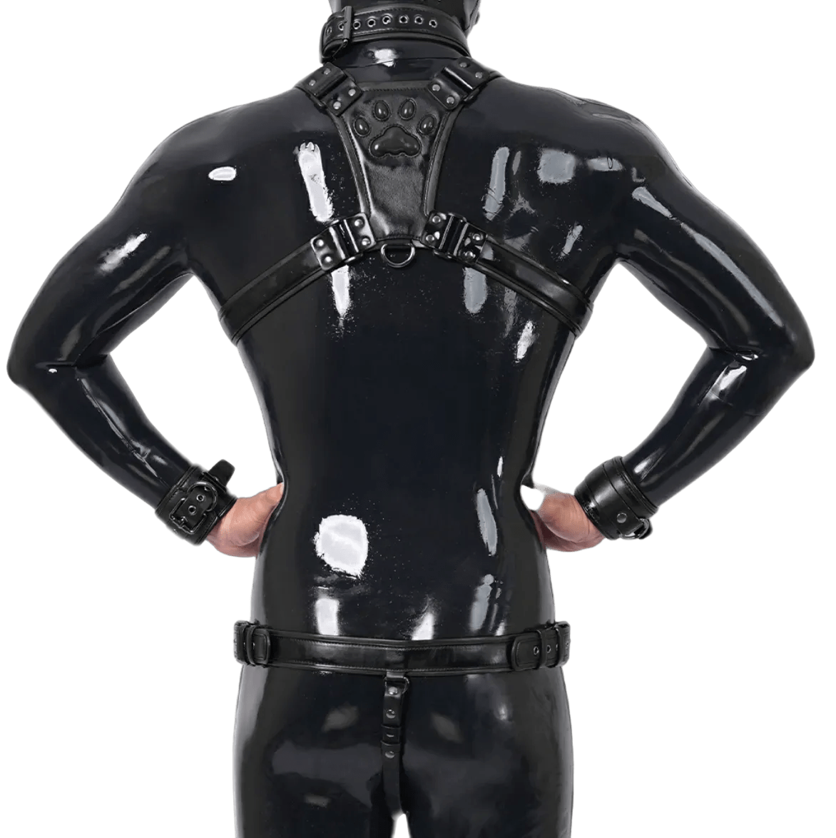Furrjoi Harness, Cuff, Collar, Lead Underwear Bundle Black