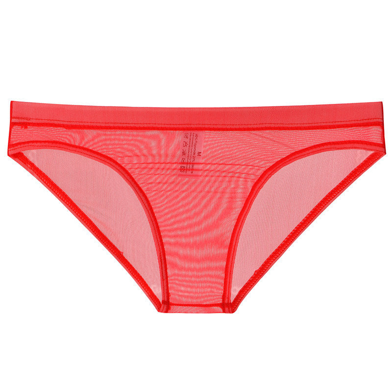 Sheer Mesh Bagless Skinny Briefs
