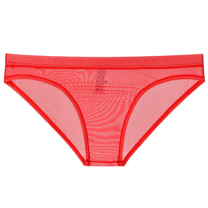 Sheer Mesh Bagless Skinny Briefs