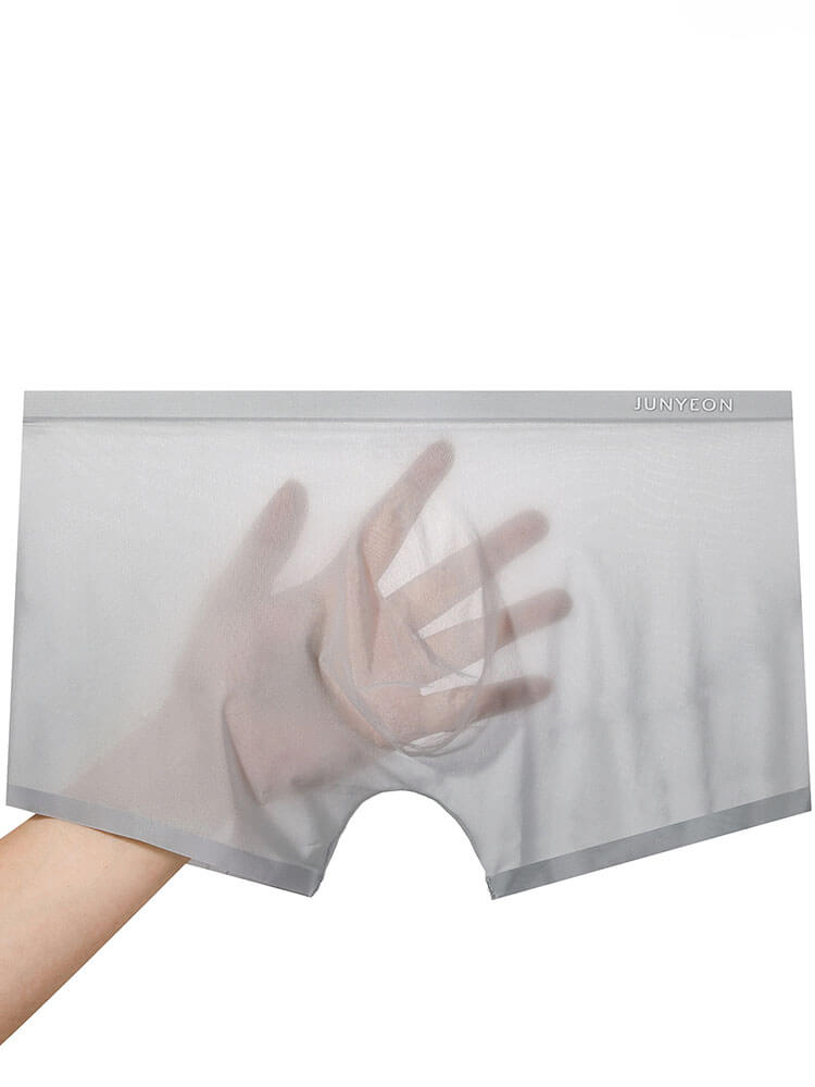 Men's Sexy Sheer Ultra-Thin Ice Silk Boxer Briefs