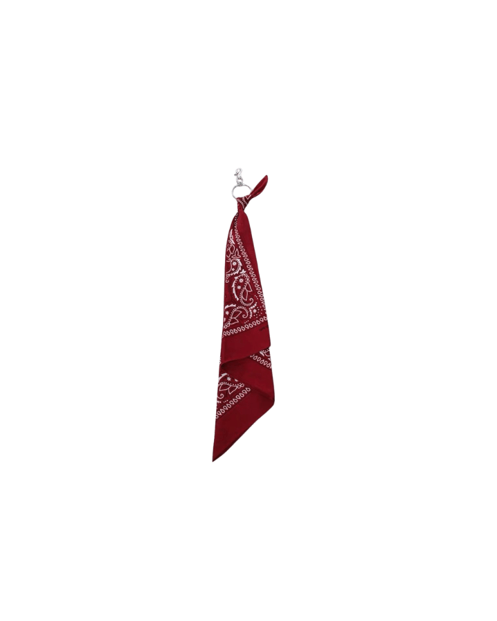 Multi-Color Paisley Bandana Layered Streetwear and Hip-Hop