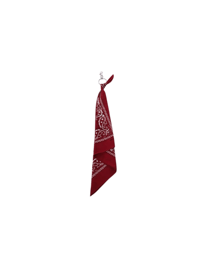 Multi-Color Paisley Bandana Layered Streetwear and Hip-Hop