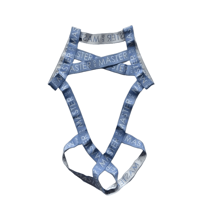 Dog & Master Master One Piece Blue - The Pup Play Hub