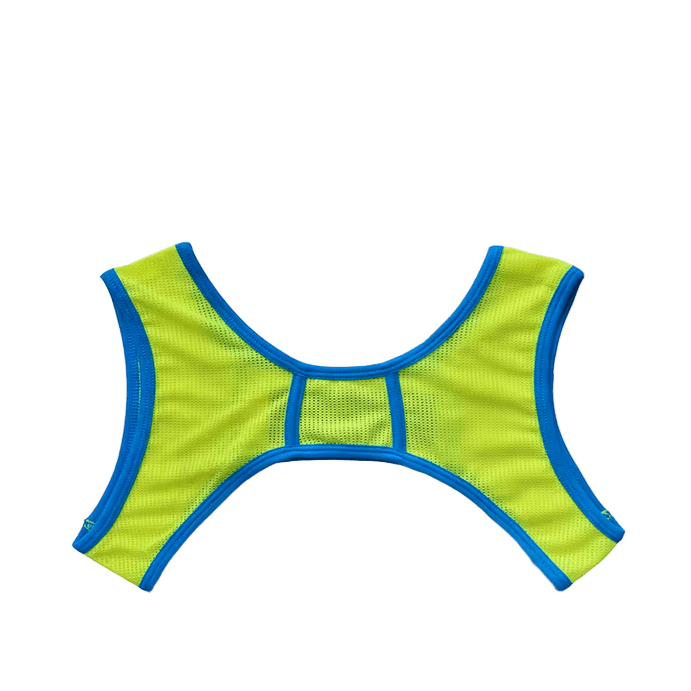 Dog & Master Mesh Harness Green/Blue - The Pup Play Hub