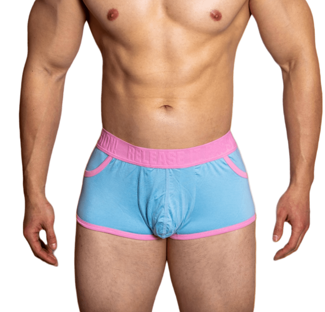 Dog & Master Porn Start Boxer Briefs Pink/Light Blue - The Pup Play Hub