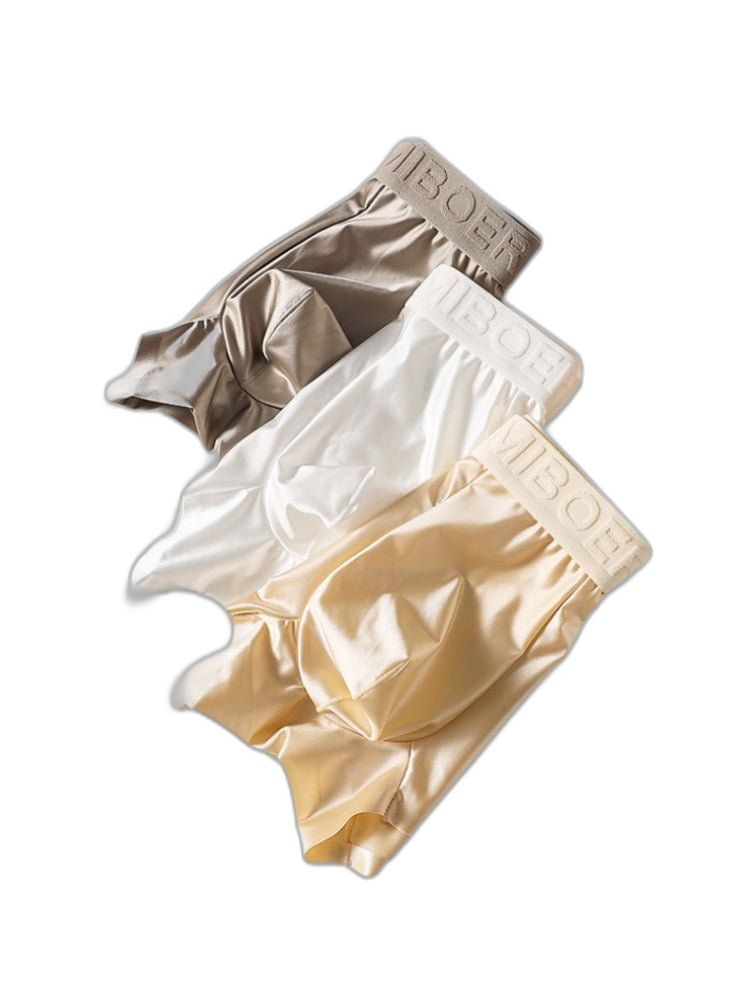 2 Pack Men's Premium Ice Silk Ultra-Soft Lightweight & Airy Trunks