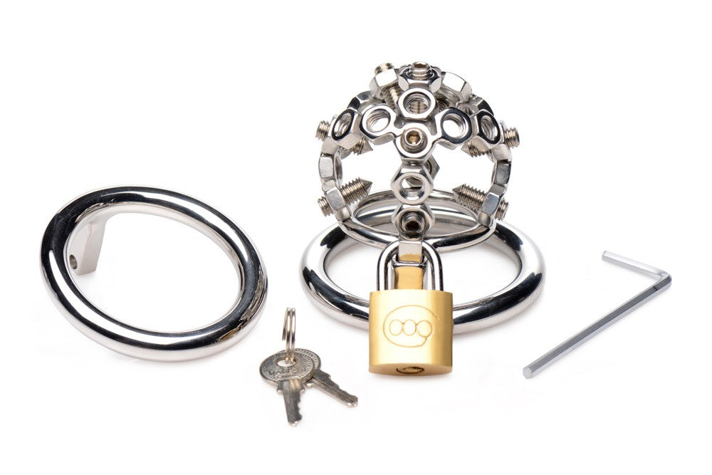 Bolted Chastity Cage with Spikes