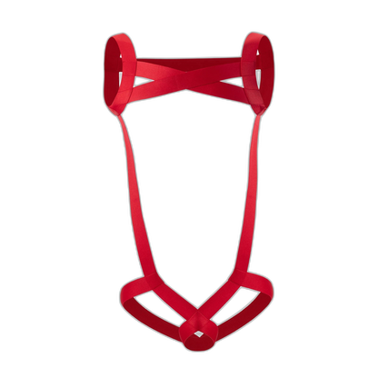 Sexy Men's Full Body Harness