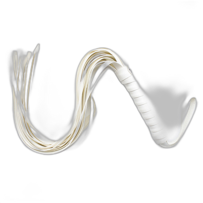 Leather BDSM Whip