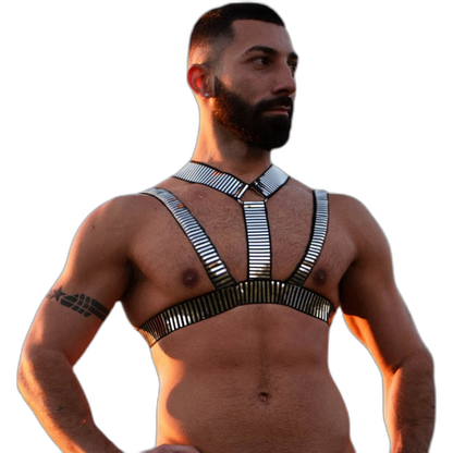 Silver Slave Daddy Harness
