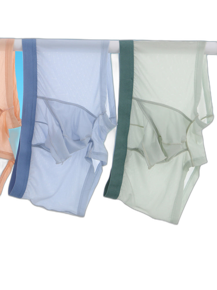 3 Pack Separate Pouch Trunks With Fly Front