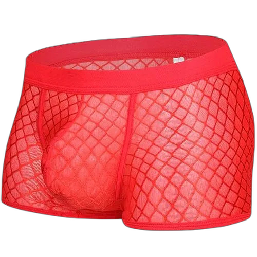 Transparent Mesh Boxers