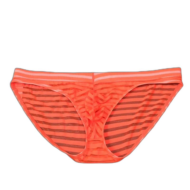 Striped Transparent Briefs