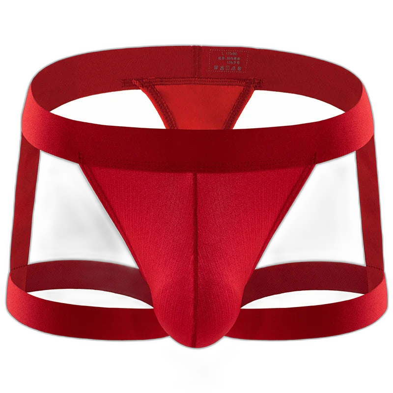 BoldGarter Men's Lingerie Briefs