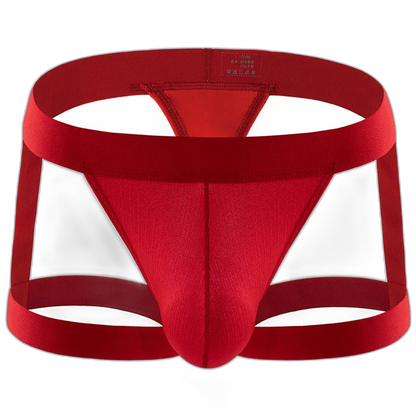BoldGarter Men's Lingerie Briefs