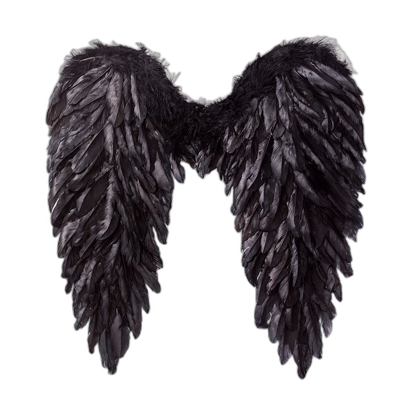 Feather Angel Wings