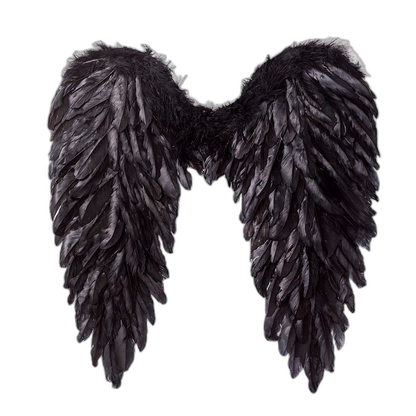 Feather Angel Wings