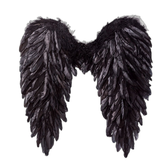 Feather Angel Wings