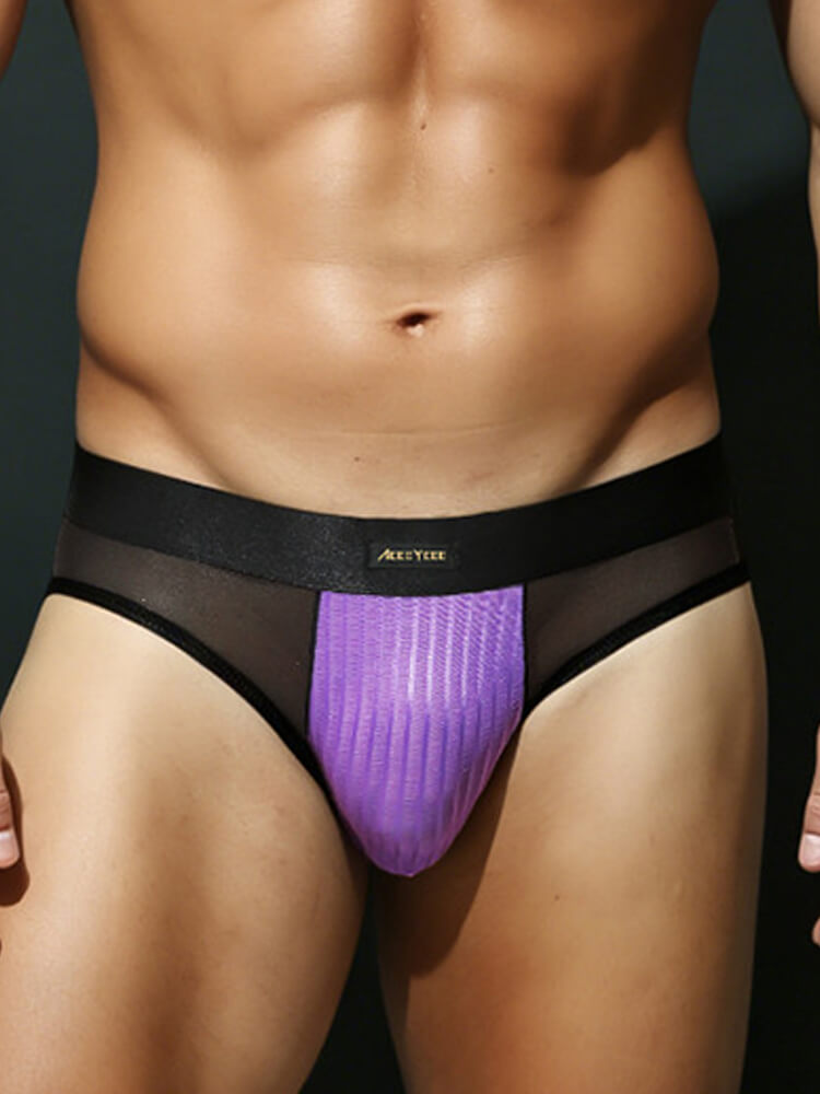 Men's Low-Rise Sexy Mesh-Paneled Breathable Briefs